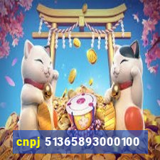 cnpj 51365893000100